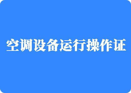 壮硕黑人把人操的嗯嗯叫制冷工证