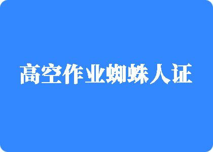 国产桶逼高空作业蜘蛛人证